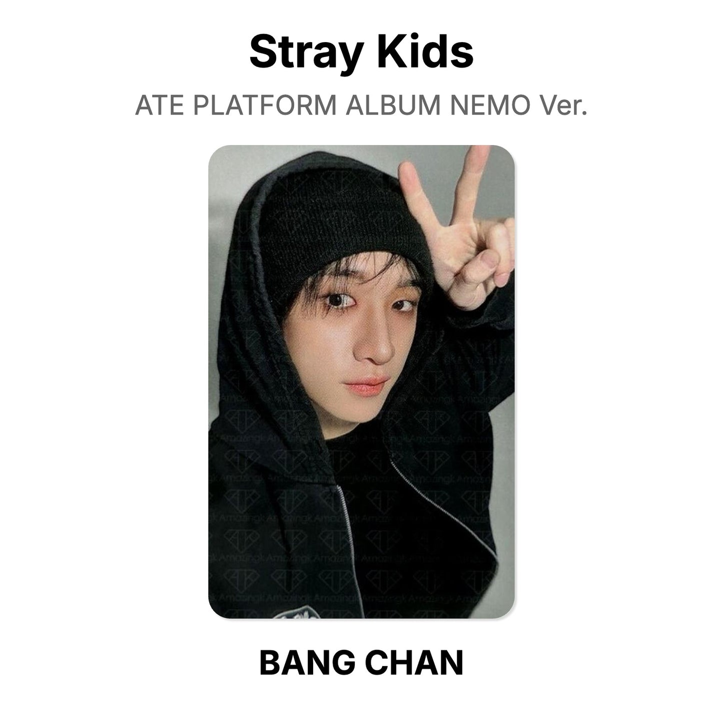 Stray Kids ATE PLATFORM ALBUM NEMO Ver. Official Photocard