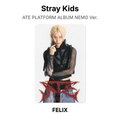 FELIX 02