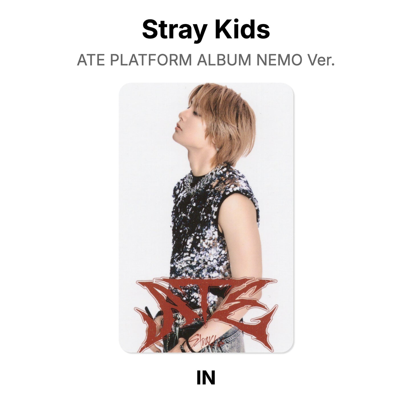 Stray Kids ATE PLATFORM ALBUM NEMO Ver. Official Photocard