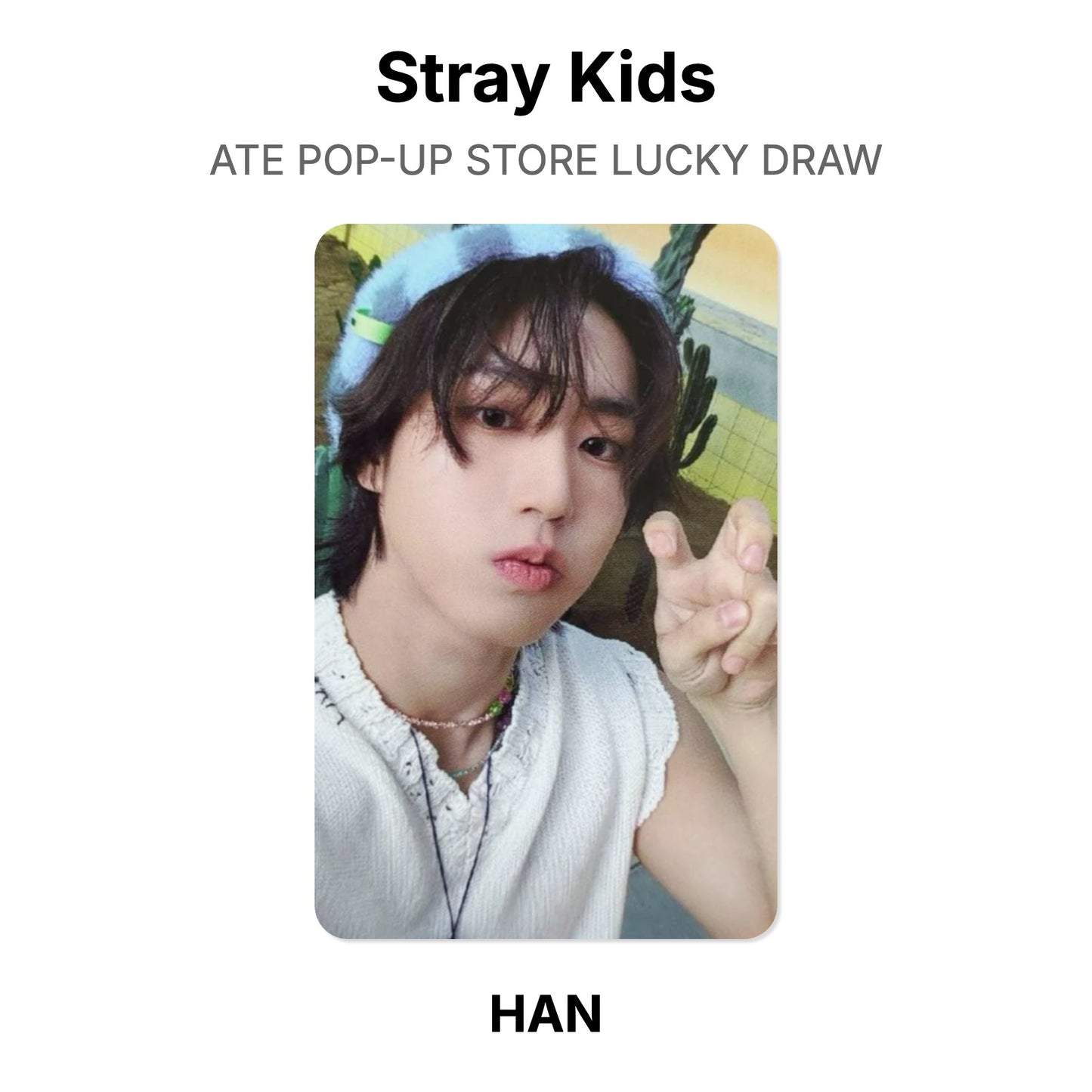 Stray Kids ATE POP-UP STORE LUCKY DRAW Offizielle Photocard