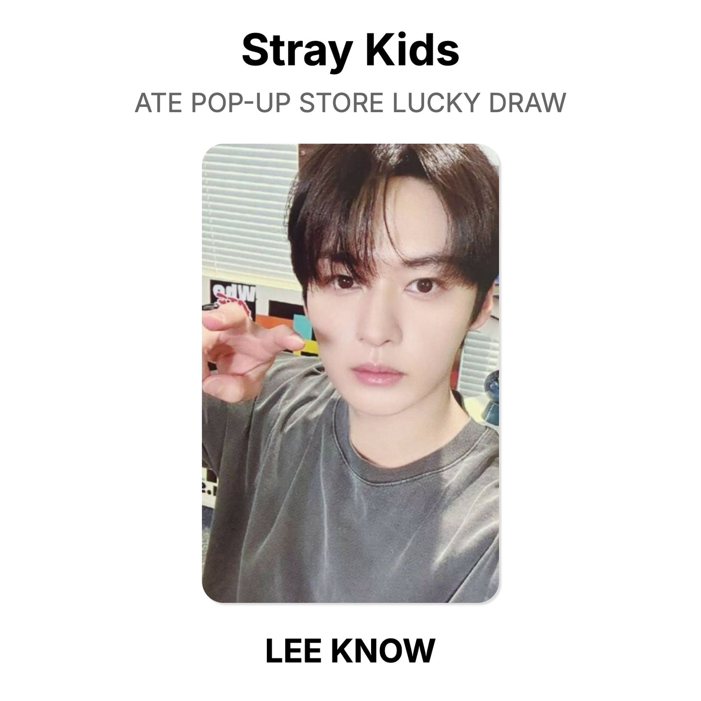 Stray Kids ATE POP-UP STORE LUCKY DRAW Offizielle Photocard
