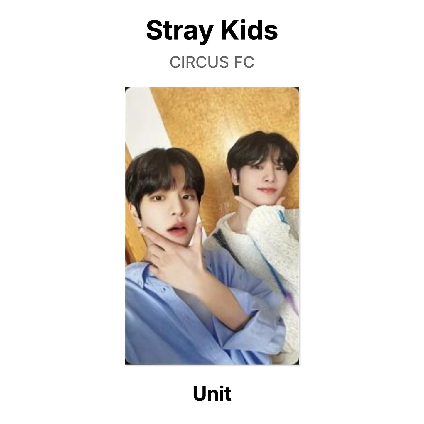 Stray Kids CIRCUS FC Official Photocard