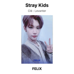 FELIX 02