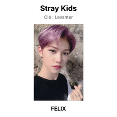 FELIX 05