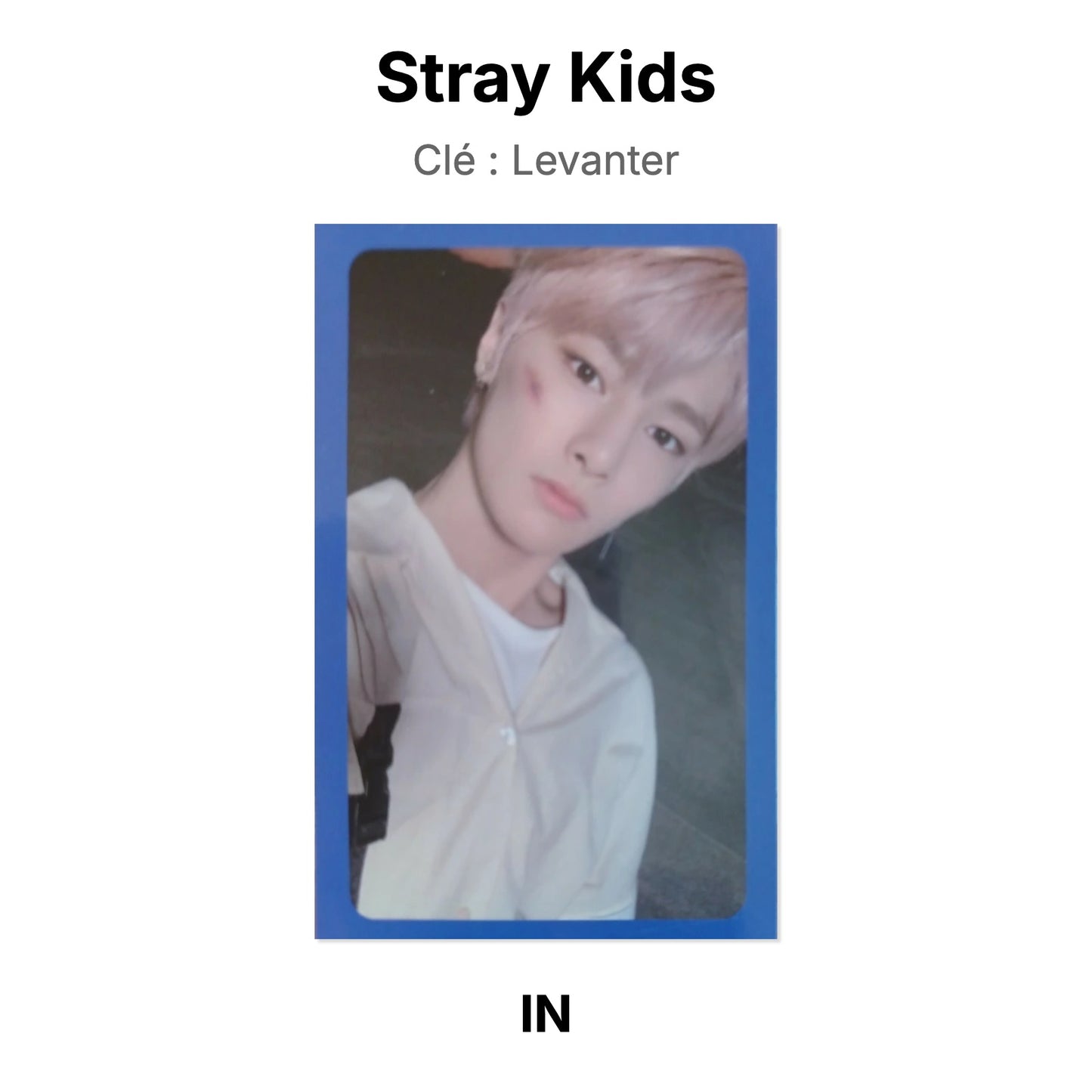 Stray Kids Clé : Levanter 官方小卡