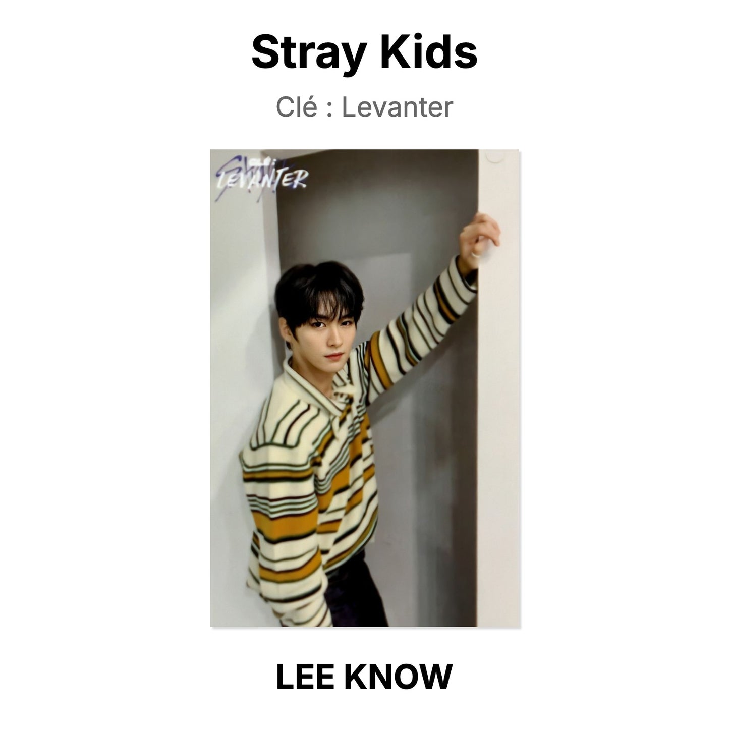 Stray Kids Clé : Levanter photocard oficial