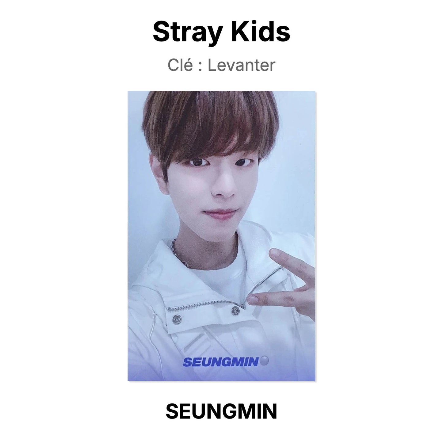 Stray Kids Clé : Levanter photocard oficial
