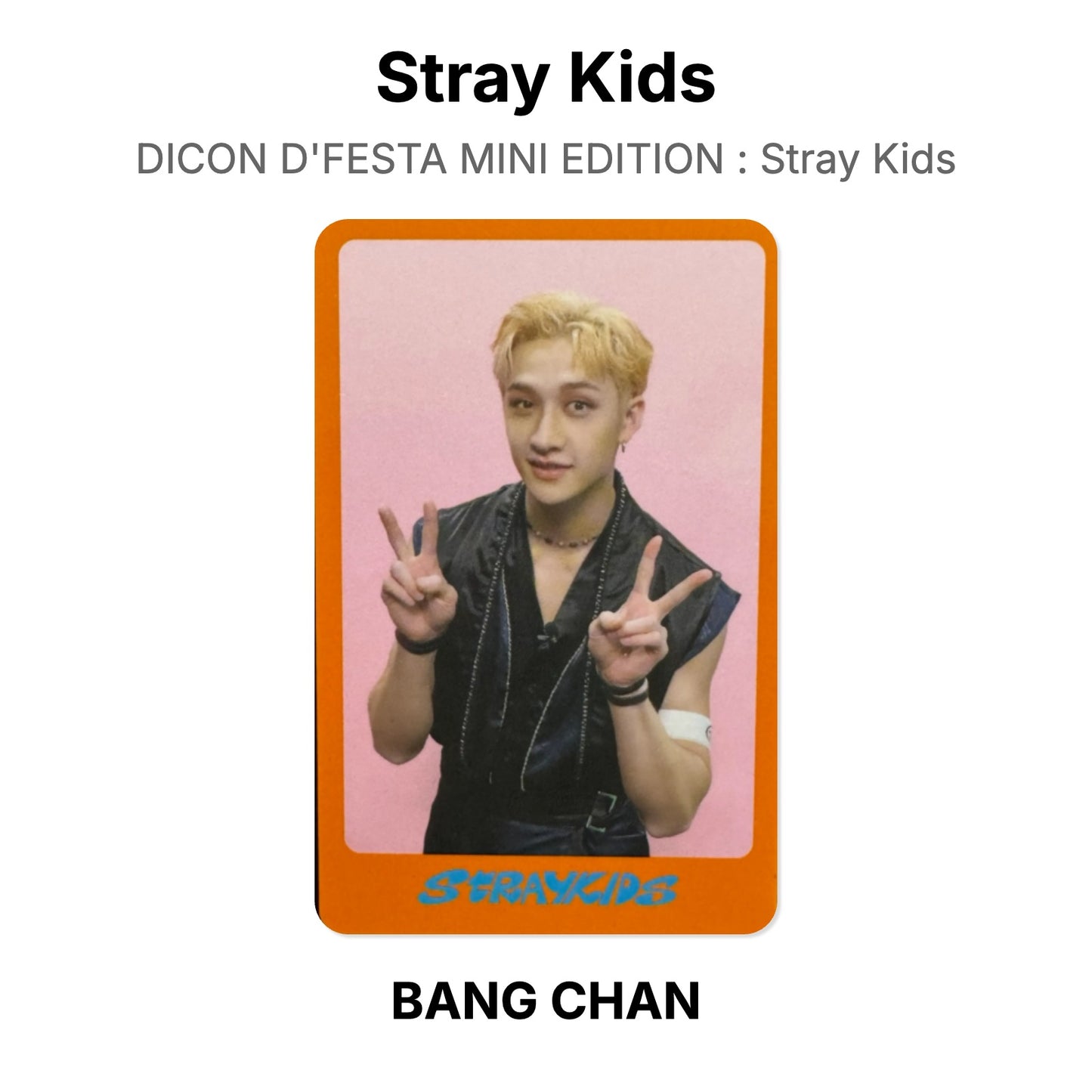 Stray Kids DICON D'FESTA MINI EDITION : Stray Kids Offizielle Photocard
