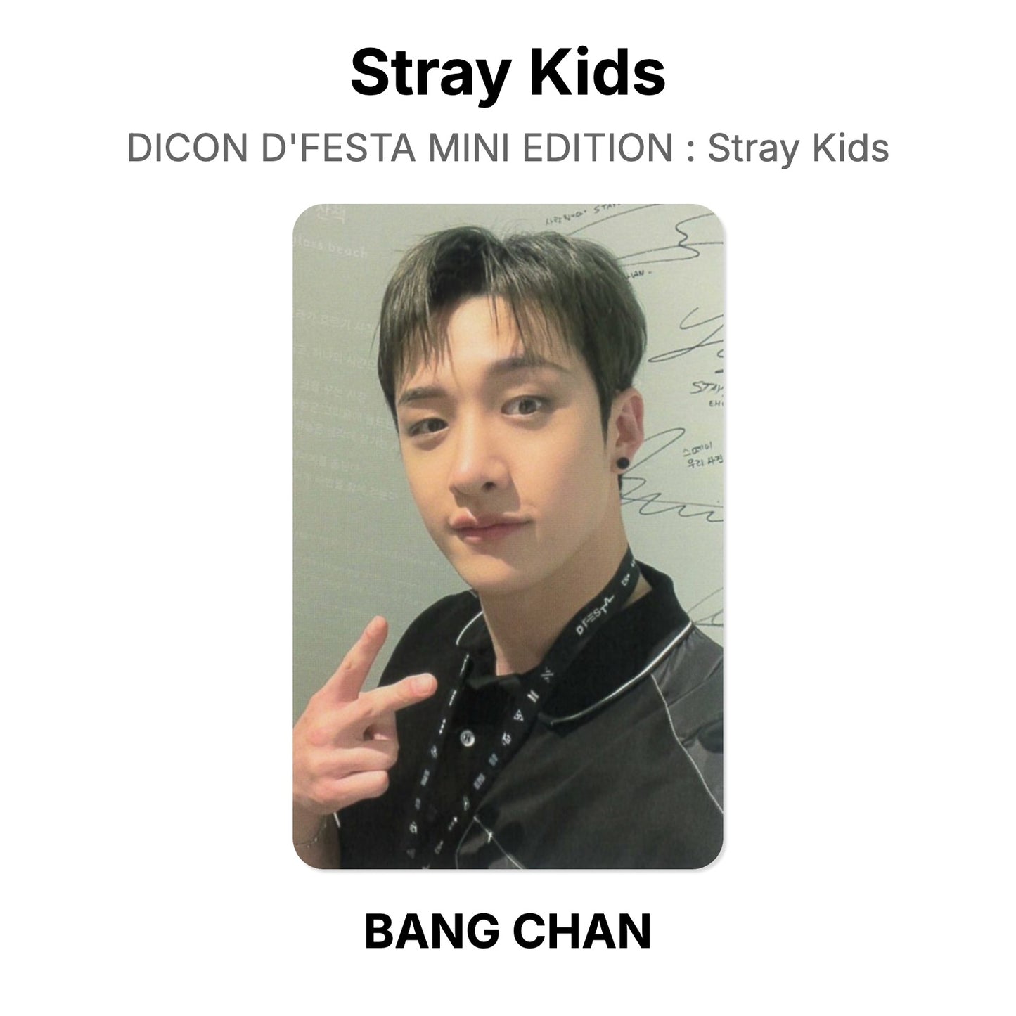 Stray Kids DICON D'FESTA MINI EDITION : Stray Kids Offizielle Photocard