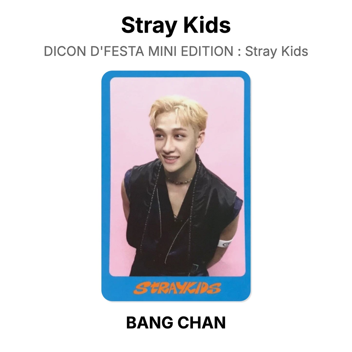 Stray Kids DICON D'FESTA MINI EDITION : Stray Kids Offizielle Photocard