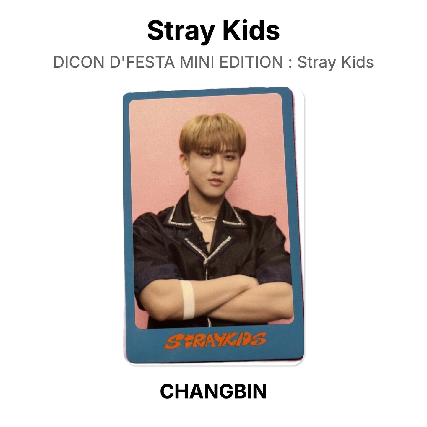 Stray Kids DICON D'FESTA MINI EDITION : Stray Kids Offizielle Photocard