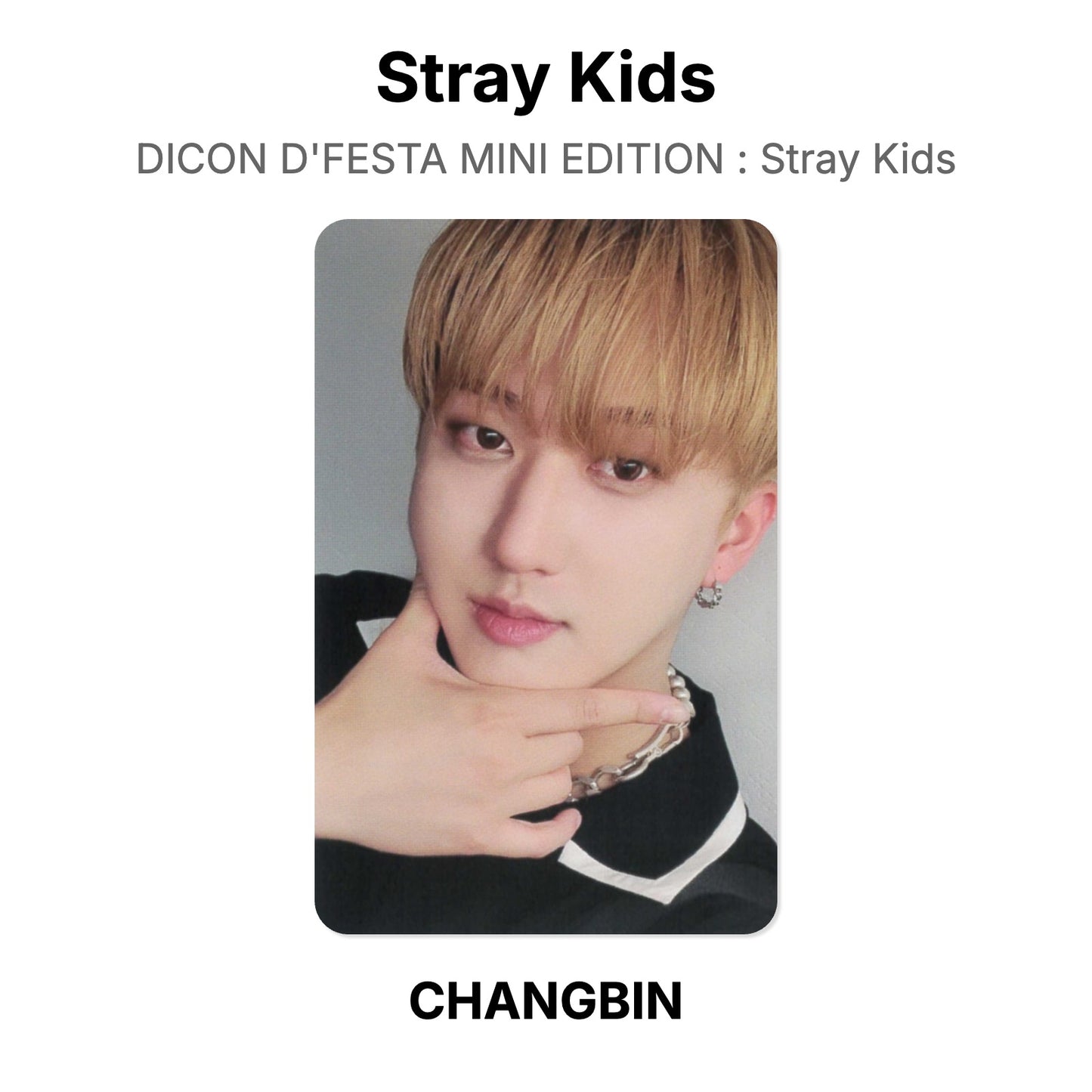 Stray Kids DICON D'FESTA MINI EDITION : Stray Kids Offizielle Photocard