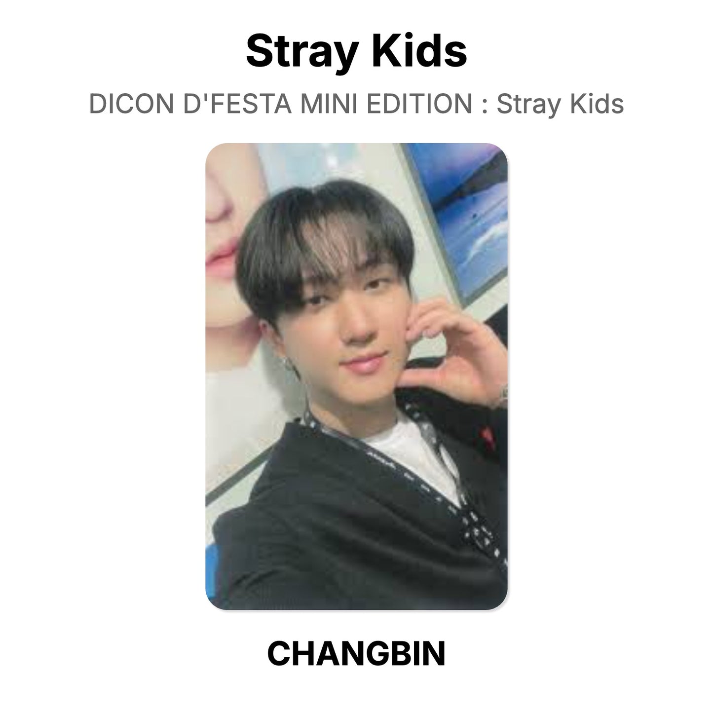 Stray Kids DICON D'FESTA MINI EDITION : Stray Kids Offizielle Photocard