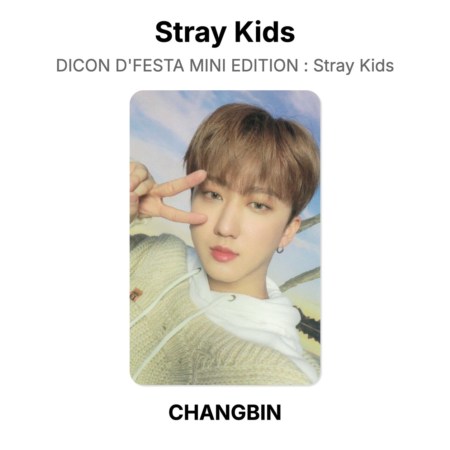 Stray Kids DICON D'FESTA MINI EDITION : Stray Kids Offizielle Photocard
