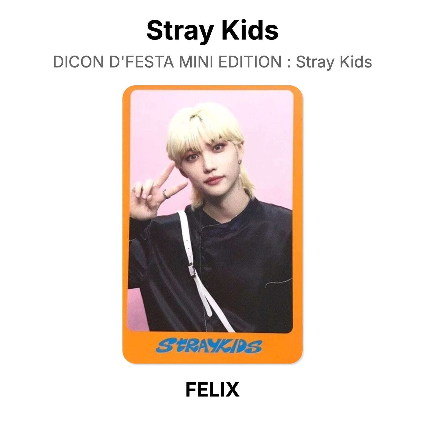 Stray Kids DICON D'FESTA MINI EDITION : Stray Kids Offizielle Photocard