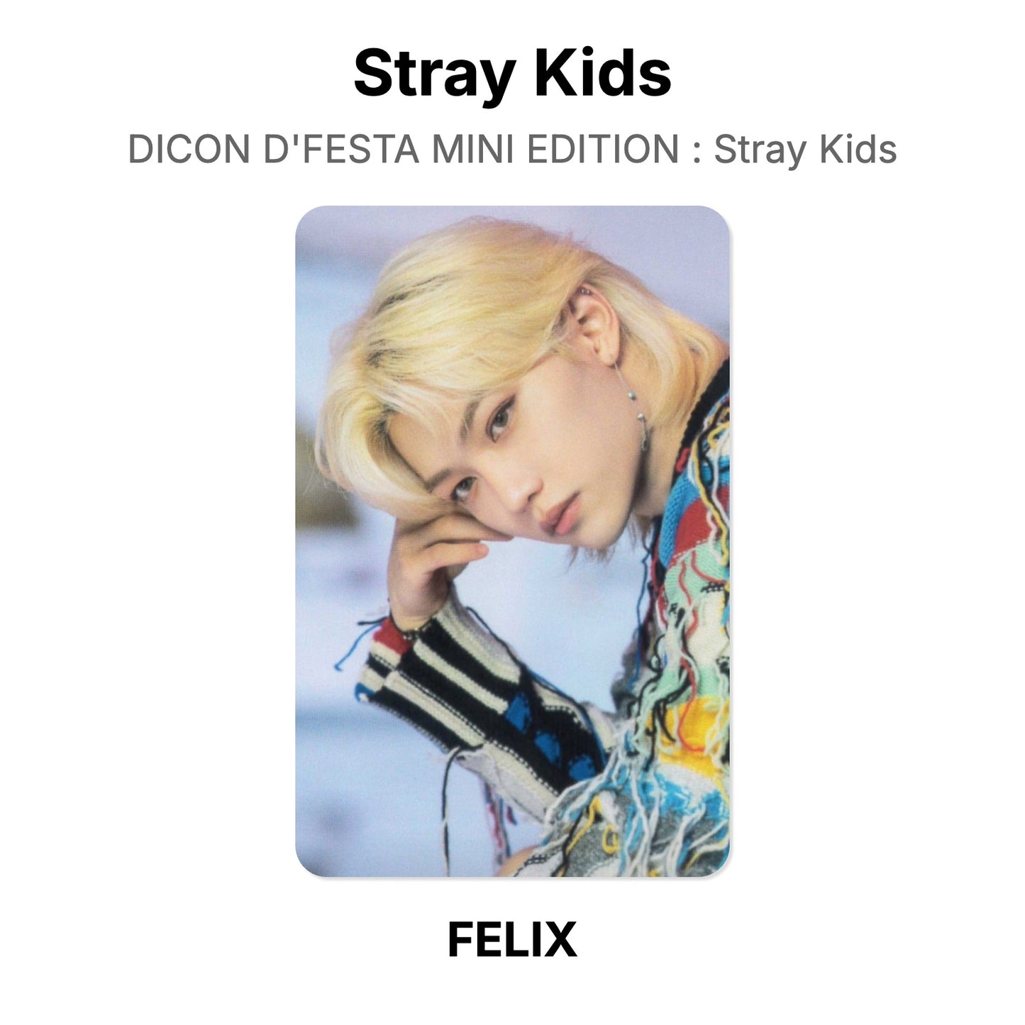 Stray Kids DICON D'FESTA MINI EDITION : Stray Kids Offizielle Photocard