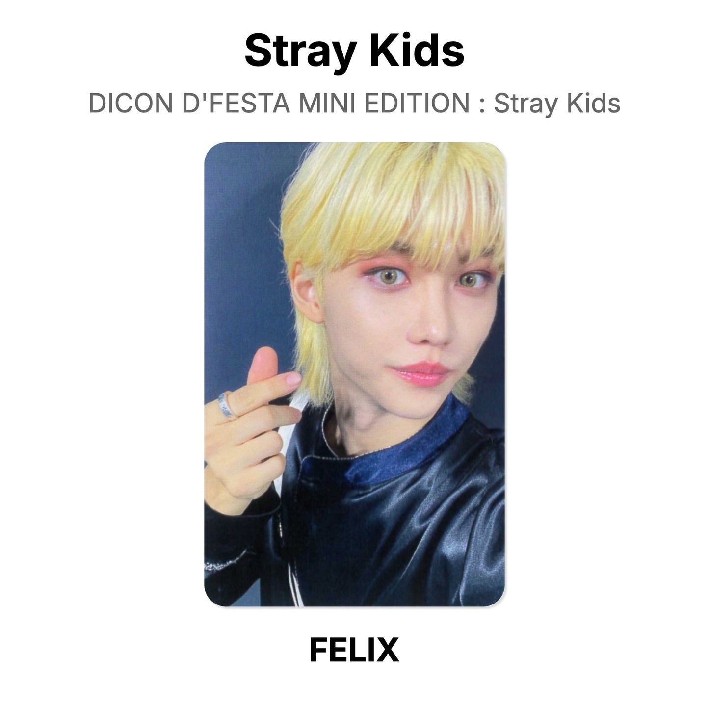 Stray Kids DICON D'FESTA MINI EDITION : Stray Kids Offizielle Photocard