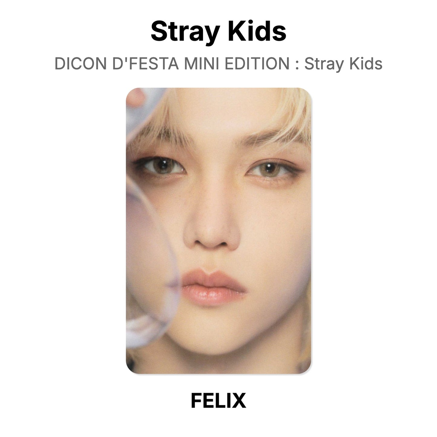 Stray Kids DICON D'FESTA MINI EDITION : Stray Kids Offizielle Photocard