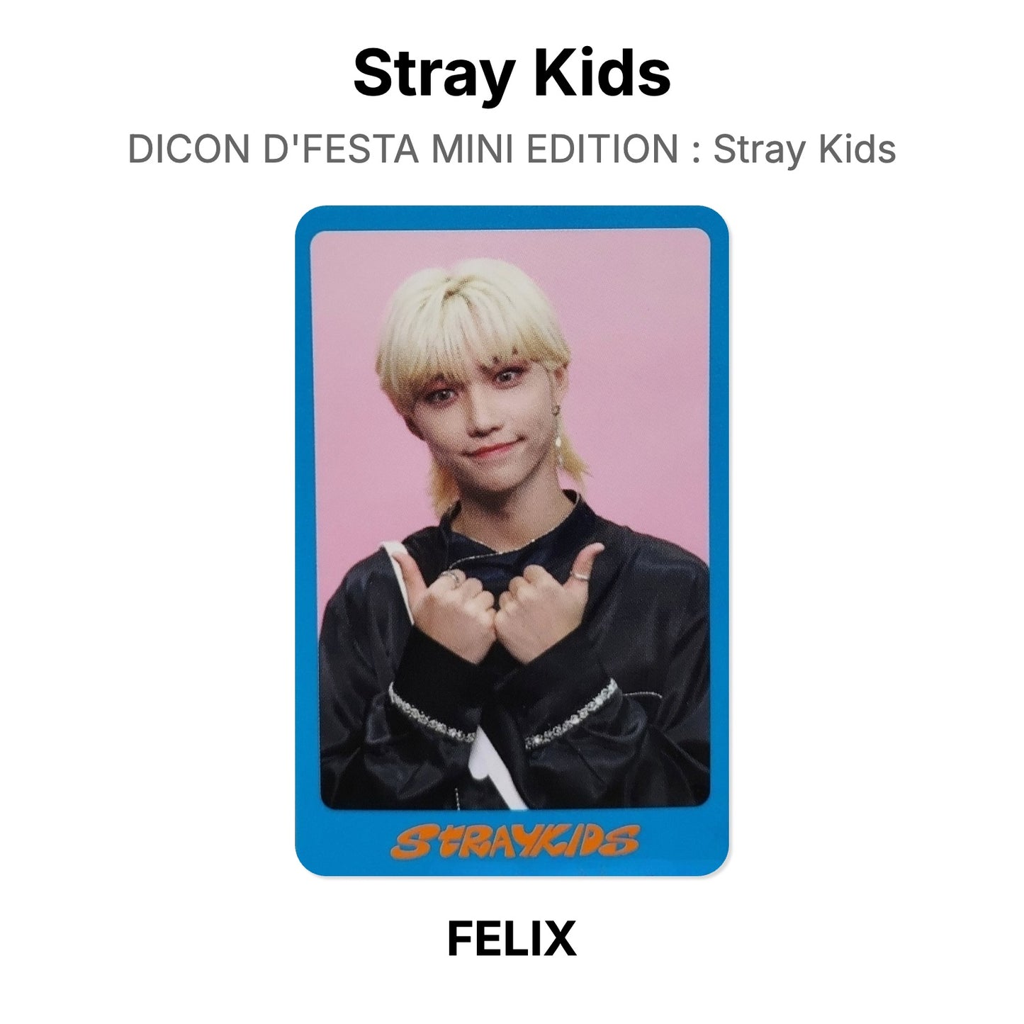 Stray Kids DICON D'FESTA MINI EDITION : Stray Kids Offizielle Photocard