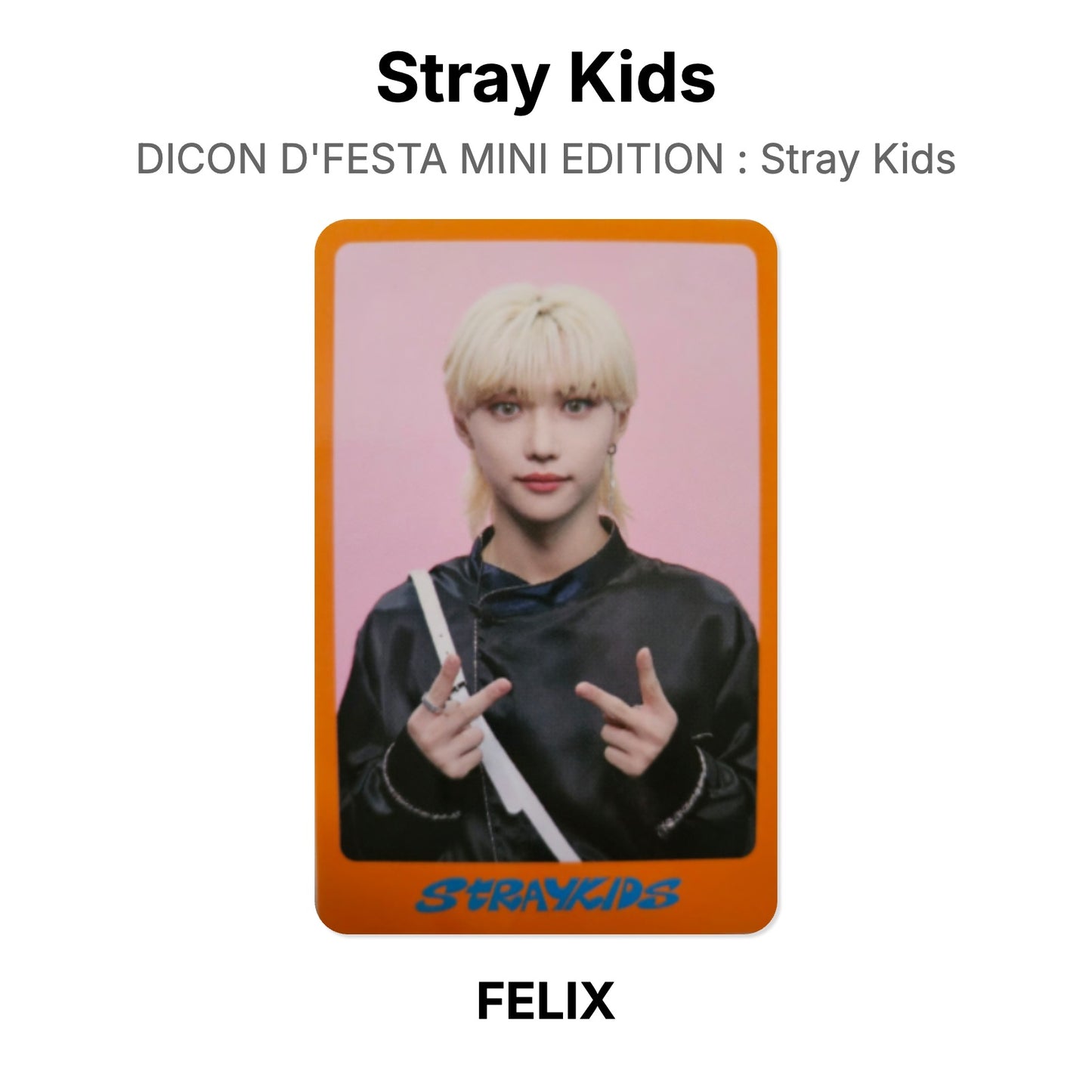 Stray Kids DICON D'FESTA MINI EDITION : Stray Kids Offizielle Photocard