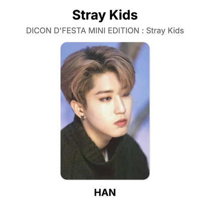 Stray Kids DICON D'FESTA MINI EDITION : Stray Kids Offizielle Photocard