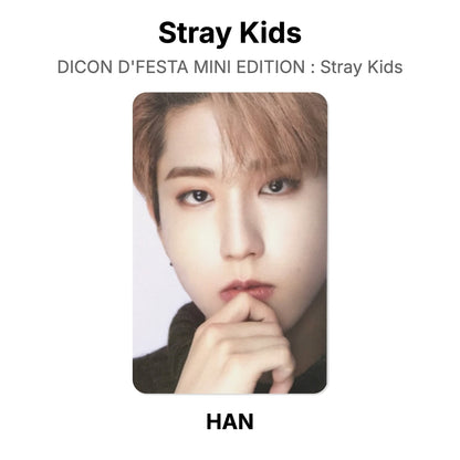 Stray Kids DICON D'FESTA MINI EDITION : Stray Kids Offizielle Photocard