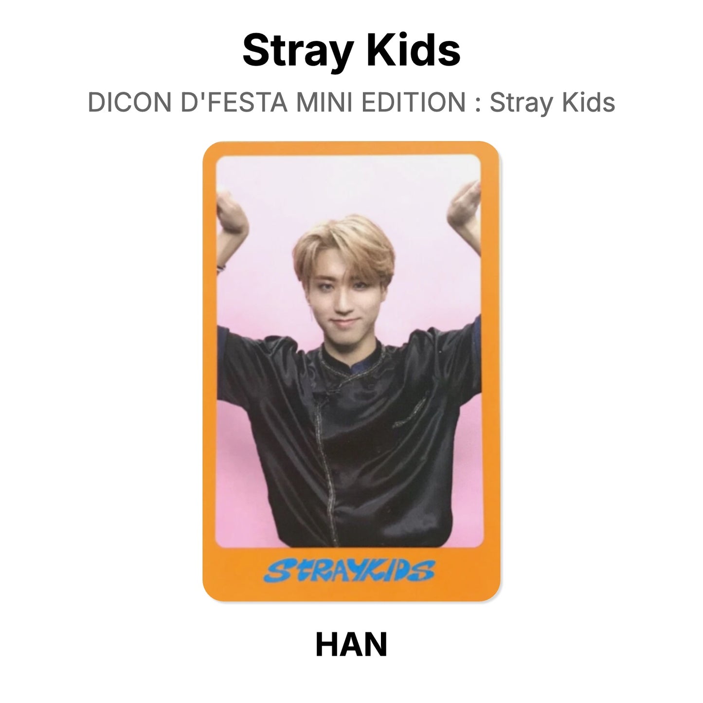 Stray Kids DICON D'FESTA MINI EDITION : Stray Kids Offizielle Photocard