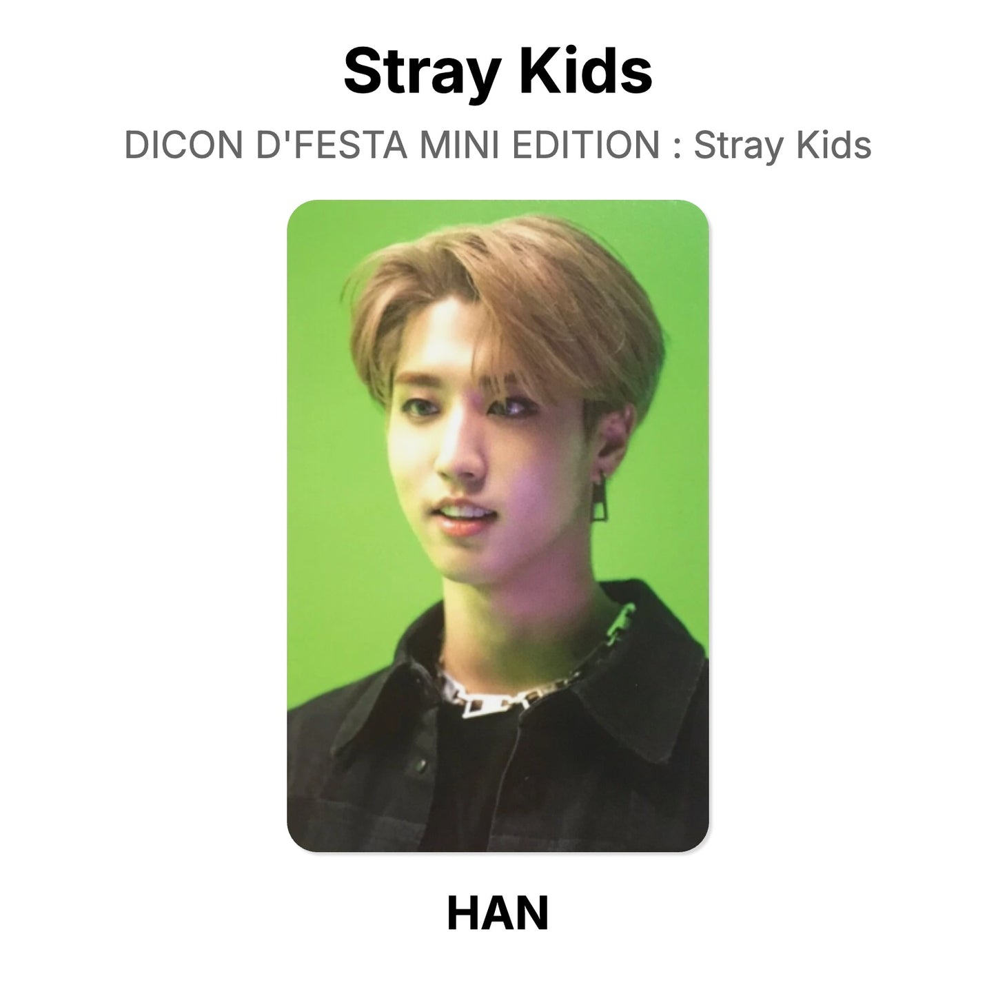 Stray Kids DICON D'FESTA MINI EDITION : Stray Kids Offizielle Photocard