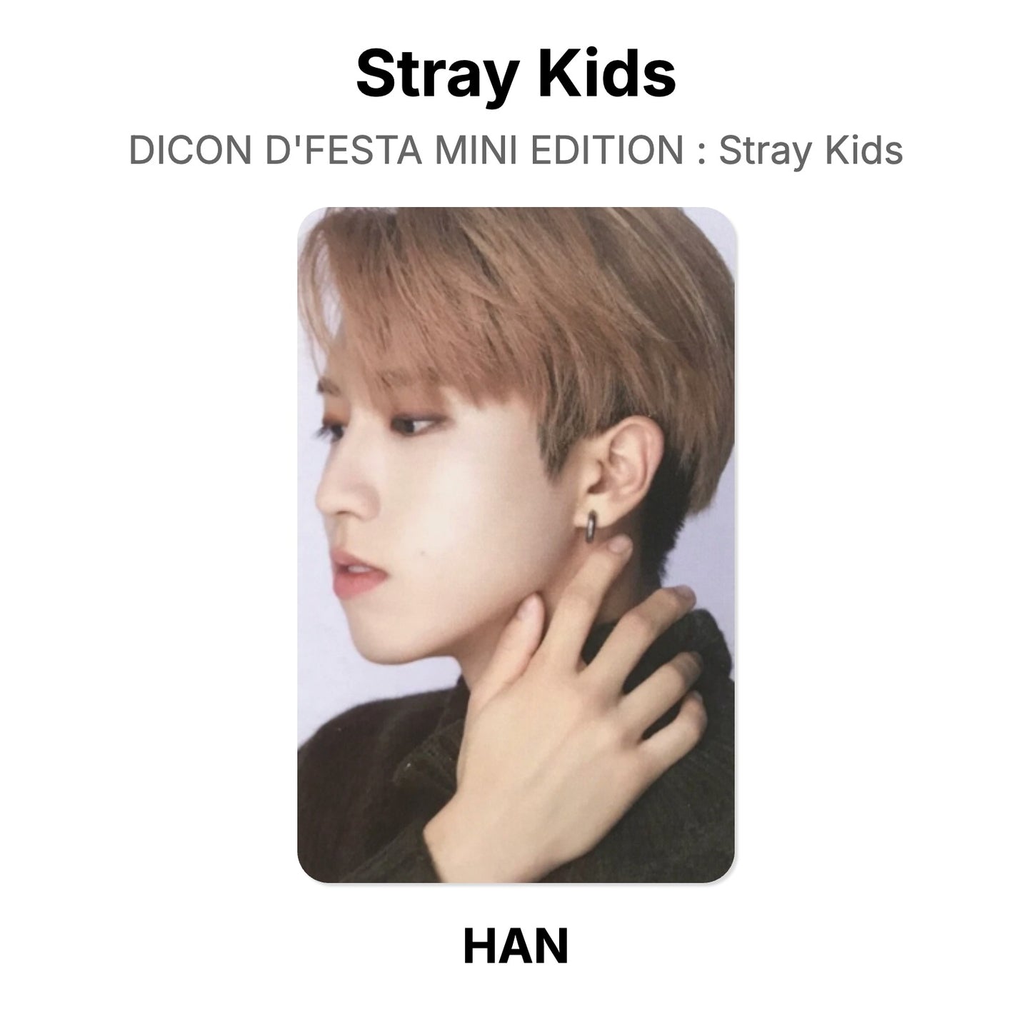 Stray Kids DICON D'FESTA MINI EDITION : Stray Kids Offizielle Photocard