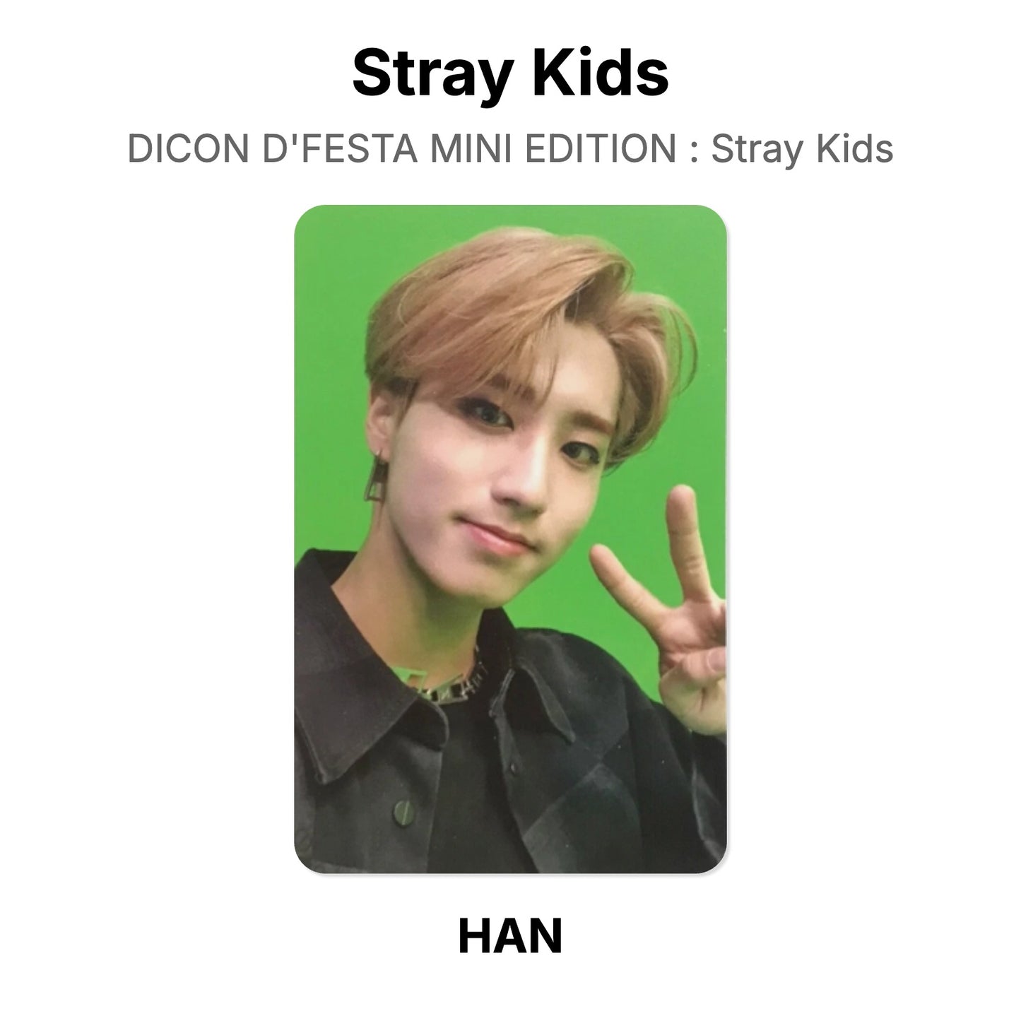 Stray Kids DICON D'FESTA MINI EDITION : Stray Kids Offizielle Photocard