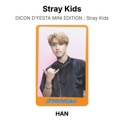 Stray Kids DICON D'FESTA MINI EDITION : Stray Kids Offizielle Photocard