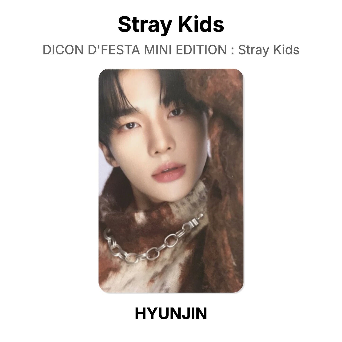 Stray Kids DICON D'FESTA MINI EDITION : Stray Kids Offizielle Photocard
