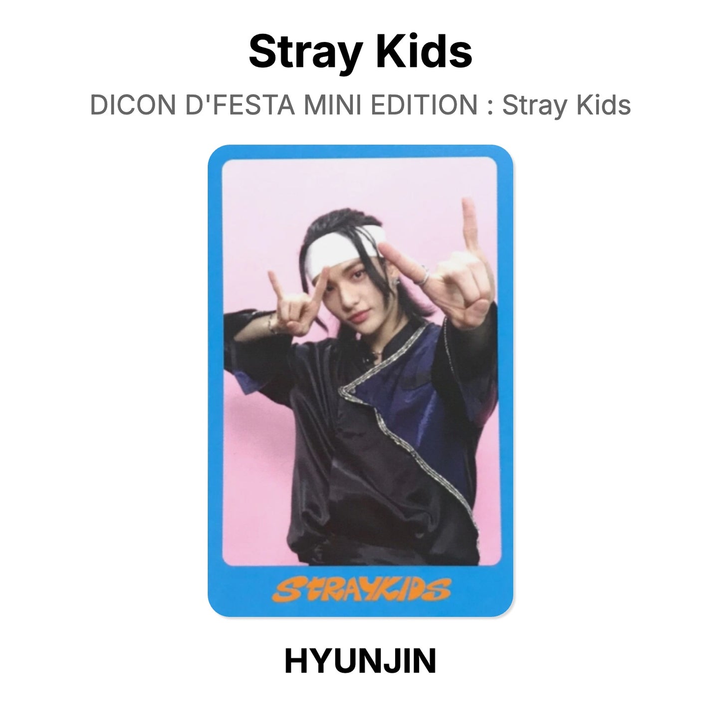 Stray Kids DICON D'FESTA MINI EDITION : Stray Kids Offizielle Photocard