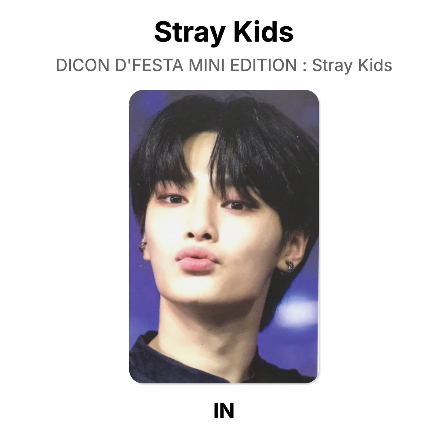 Stray Kids DICON D'FESTA MINI EDITION : Stray Kids Offizielle Photocard
