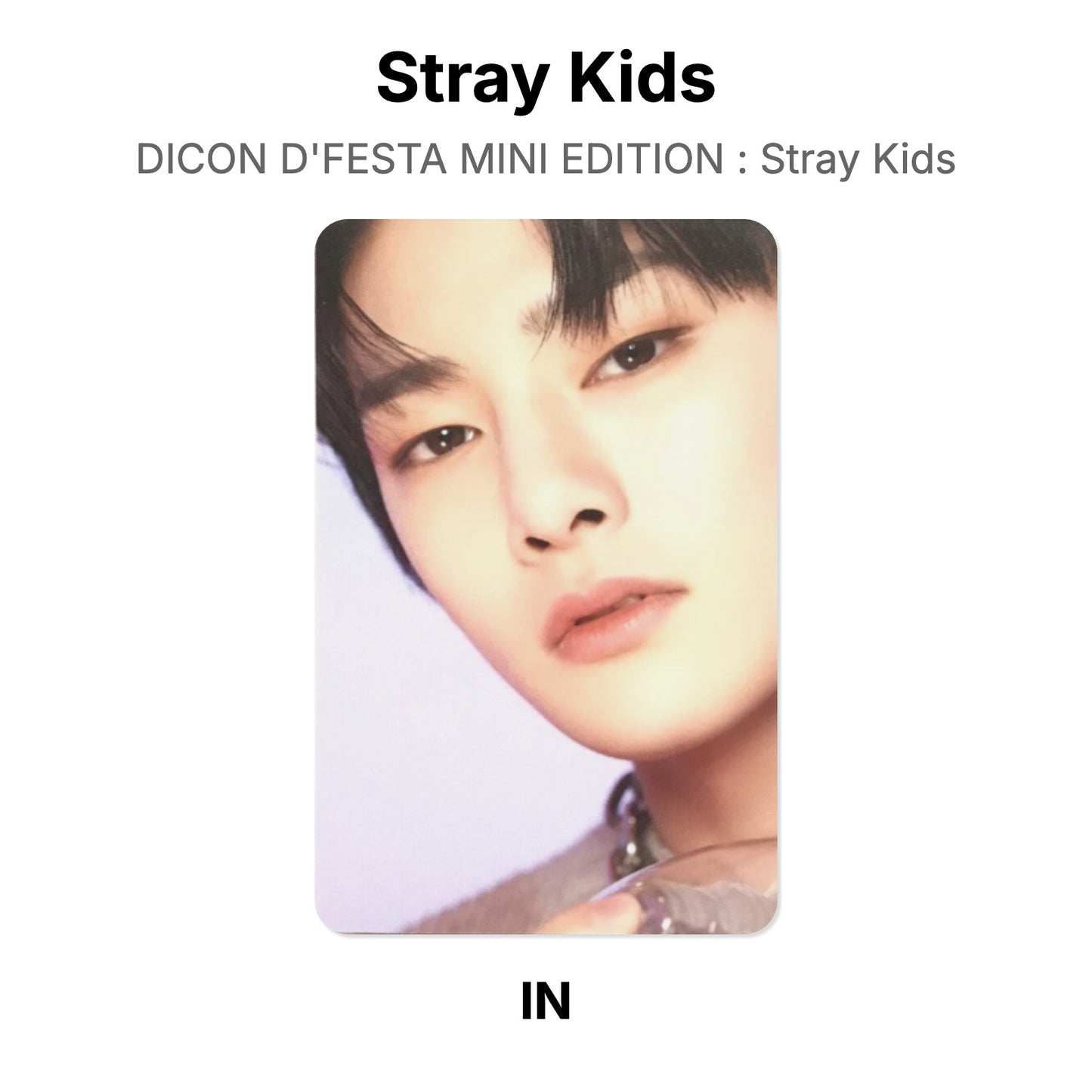 Stray Kids DICON D'FESTA MINI EDITION : Stray Kids Offizielle Photocard