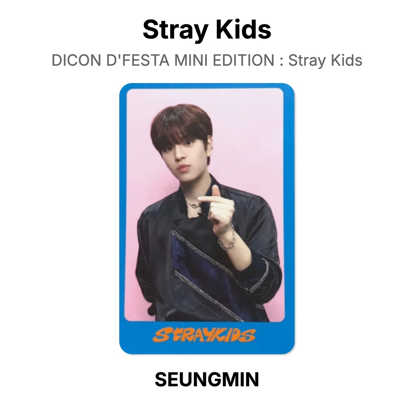 Stray Kids DICON D'FESTA MINI EDITION : Stray Kids Offizielle Photocard