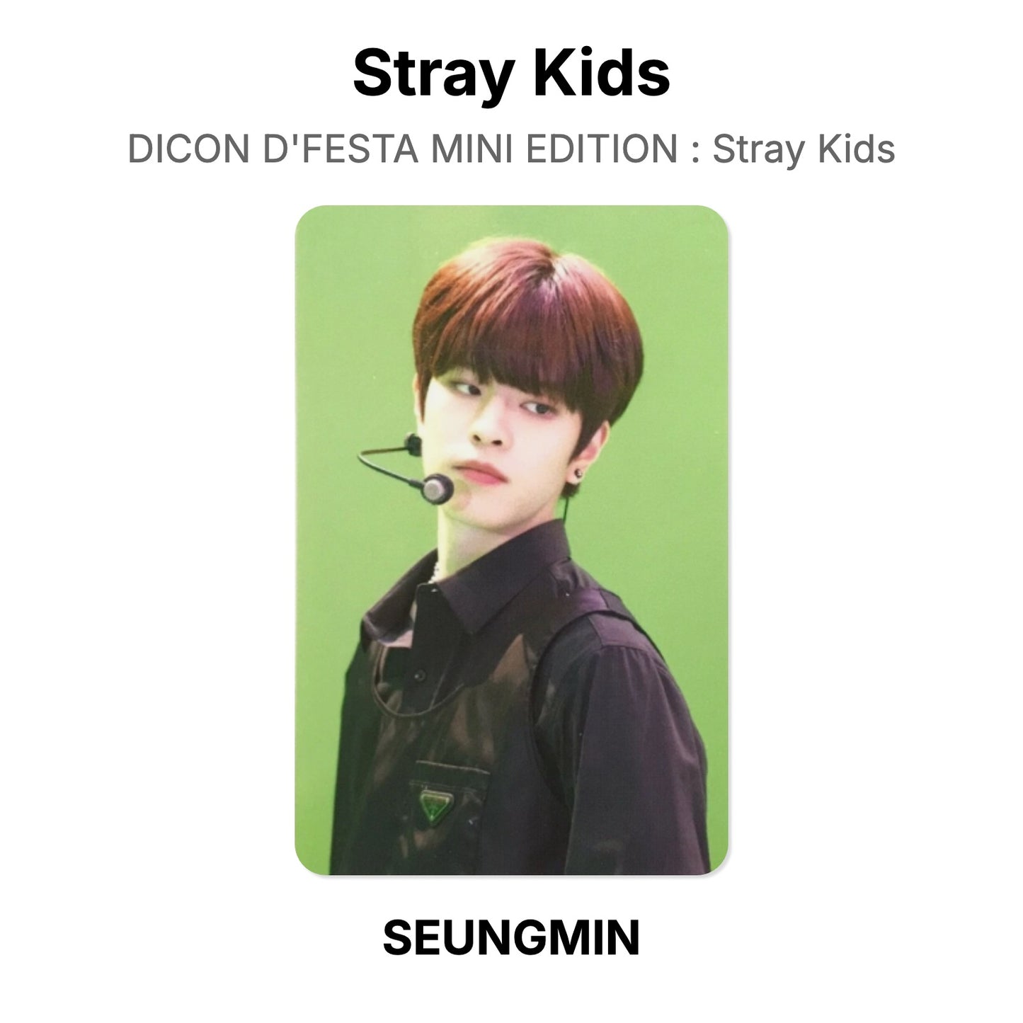 Stray Kids DICON D'FESTA MINI EDITION : Stray Kids Offizielle Photocard