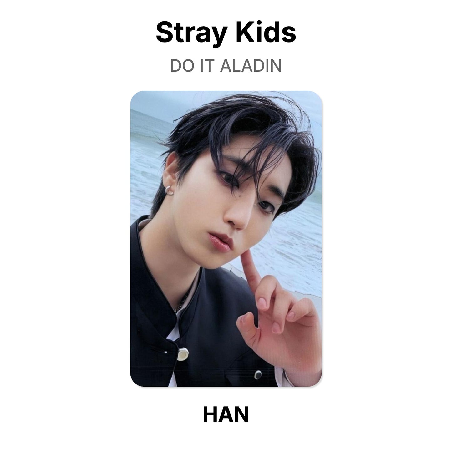 Stray Kids DO IT ALADIN photocard oficial