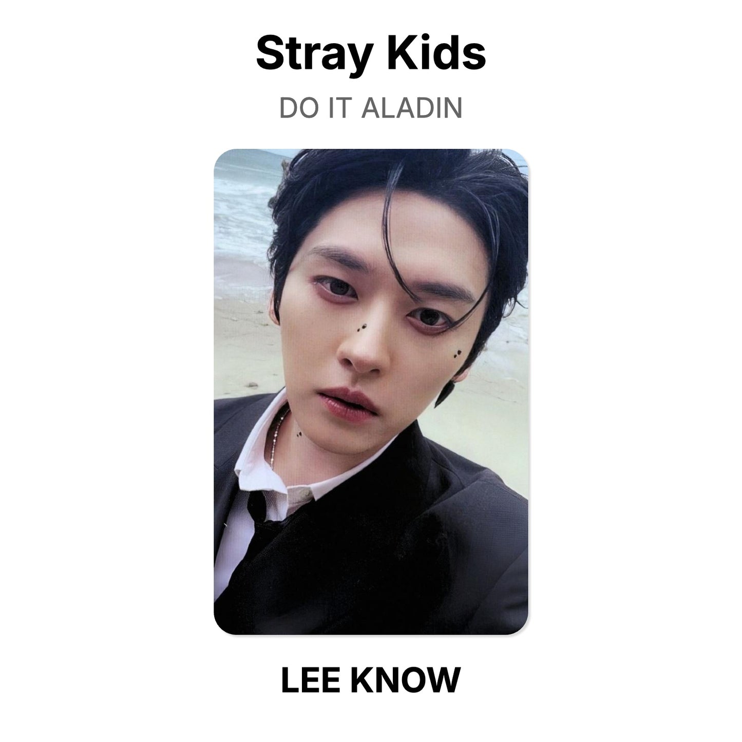 Stray Kids DO IT ALADIN photocard oficial