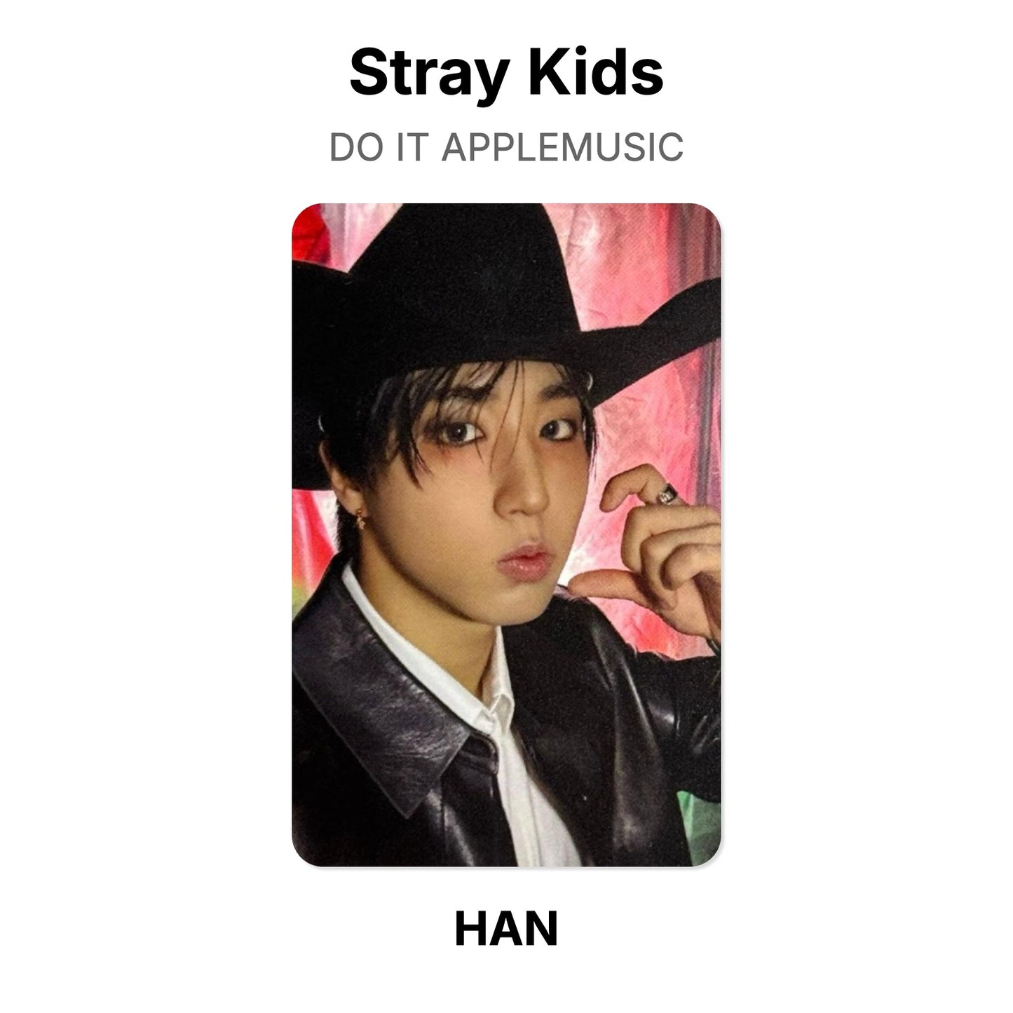 Stray Kids DO IT APPLEMUSIC Official Photocard