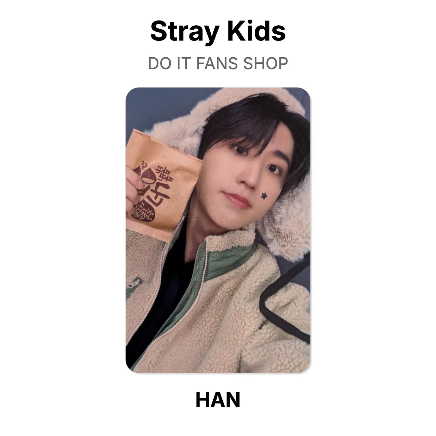Stray Kids DO IT FANS SHOP โฟโต้การ์ดของแท้