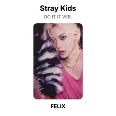 FELIX 03