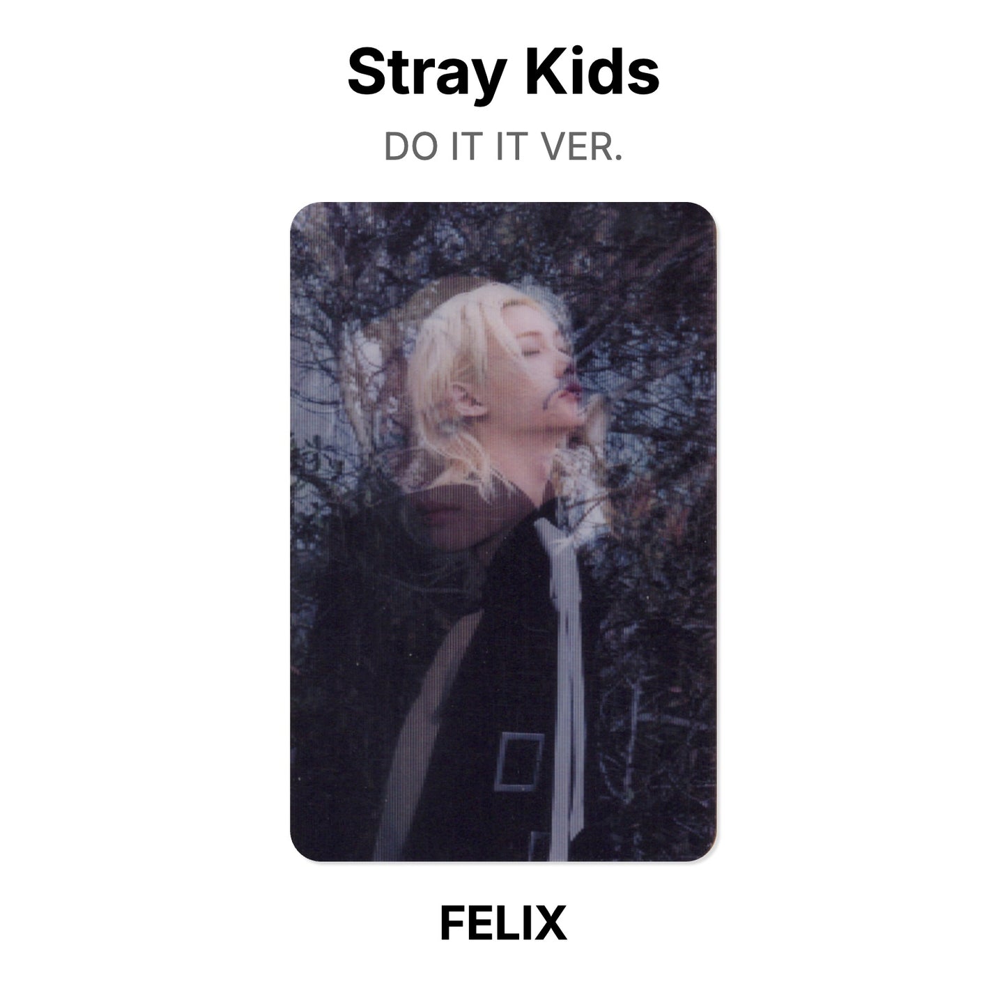 Stray Kids DO IT IT VER. Official Photocard