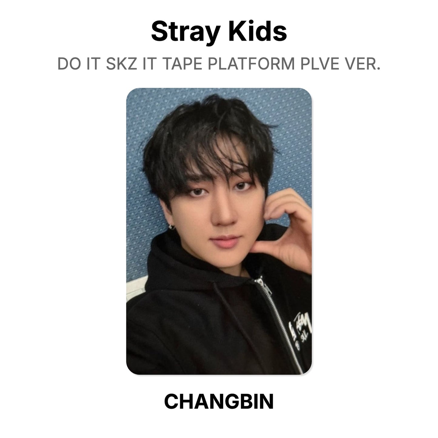 Stray Kids DO IT SKZ IT TAPE PLATFORM PLVE VER. photocard officielle