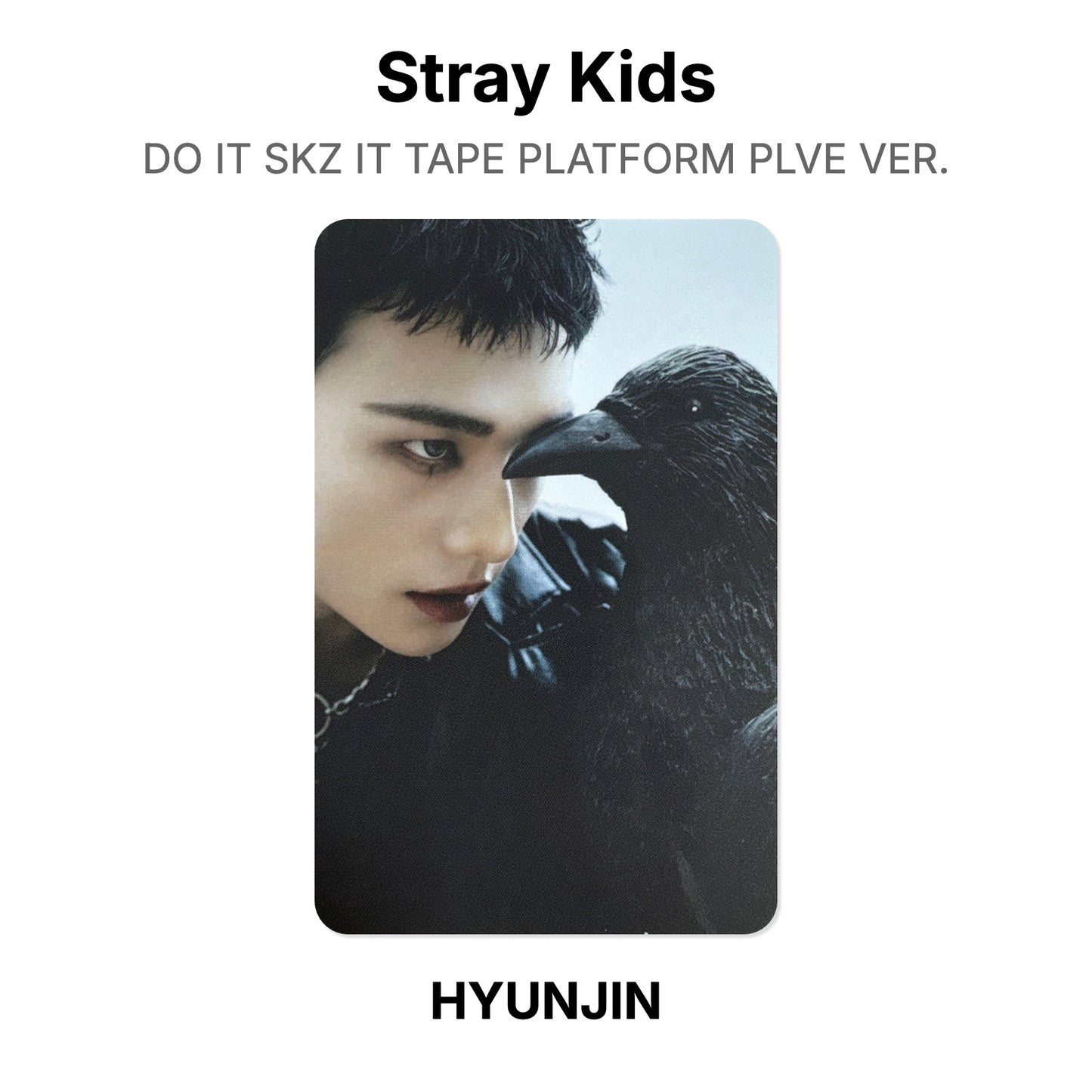 Stray Kids DO IT SKZ IT TAPE PLATFORM PLVE VER. photocard officielle