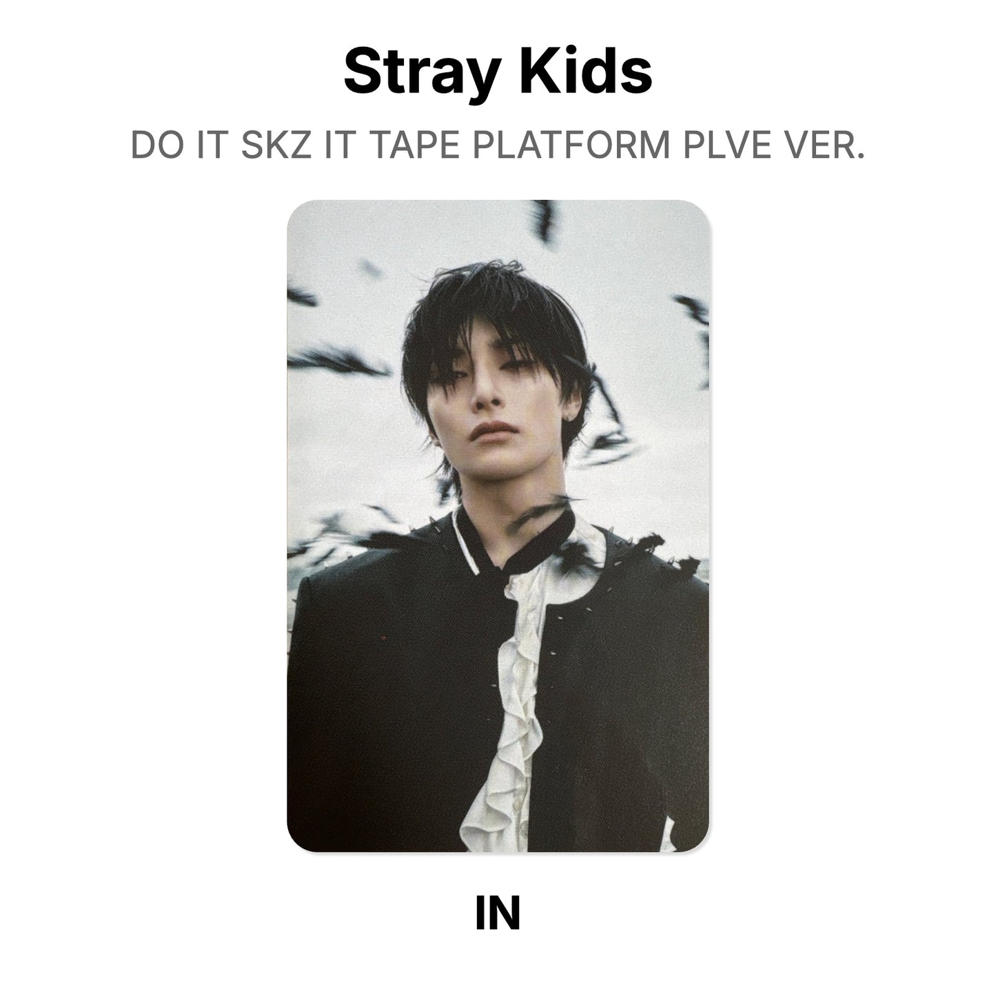 Stray Kids DO IT SKZ IT TAPE PLATFORM PLVE VER. photocard officielle