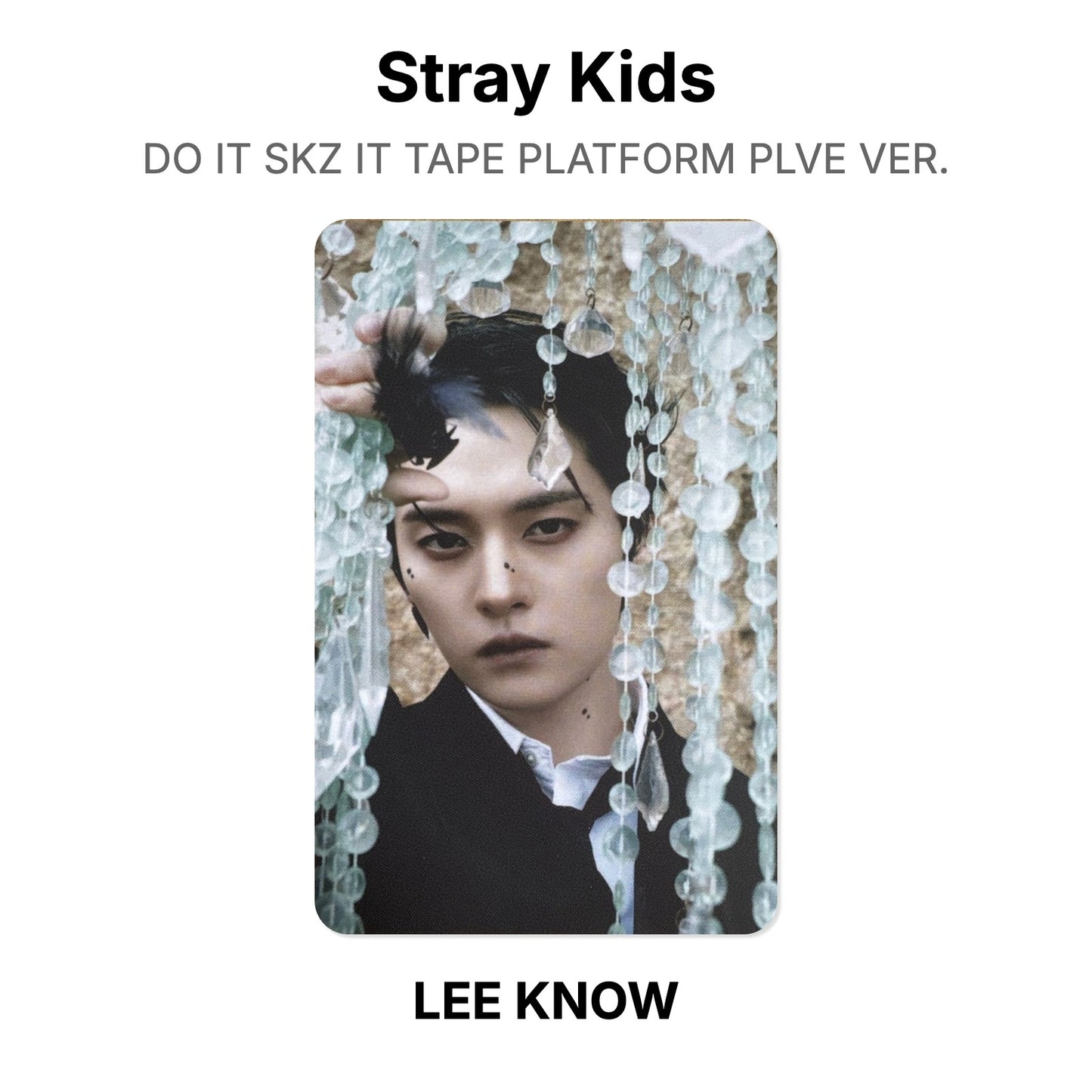 Stray Kids DO IT SKZ IT TAPE PLATFORM PLVE VER. photocard officielle