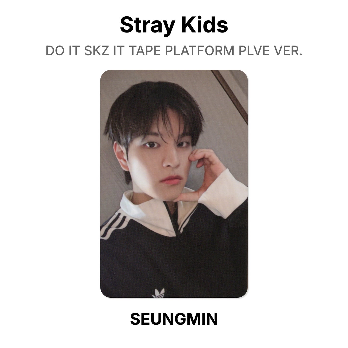 Stray Kids DO IT SKZ IT TAPE PLATFORM PLVE VER. photocard officielle