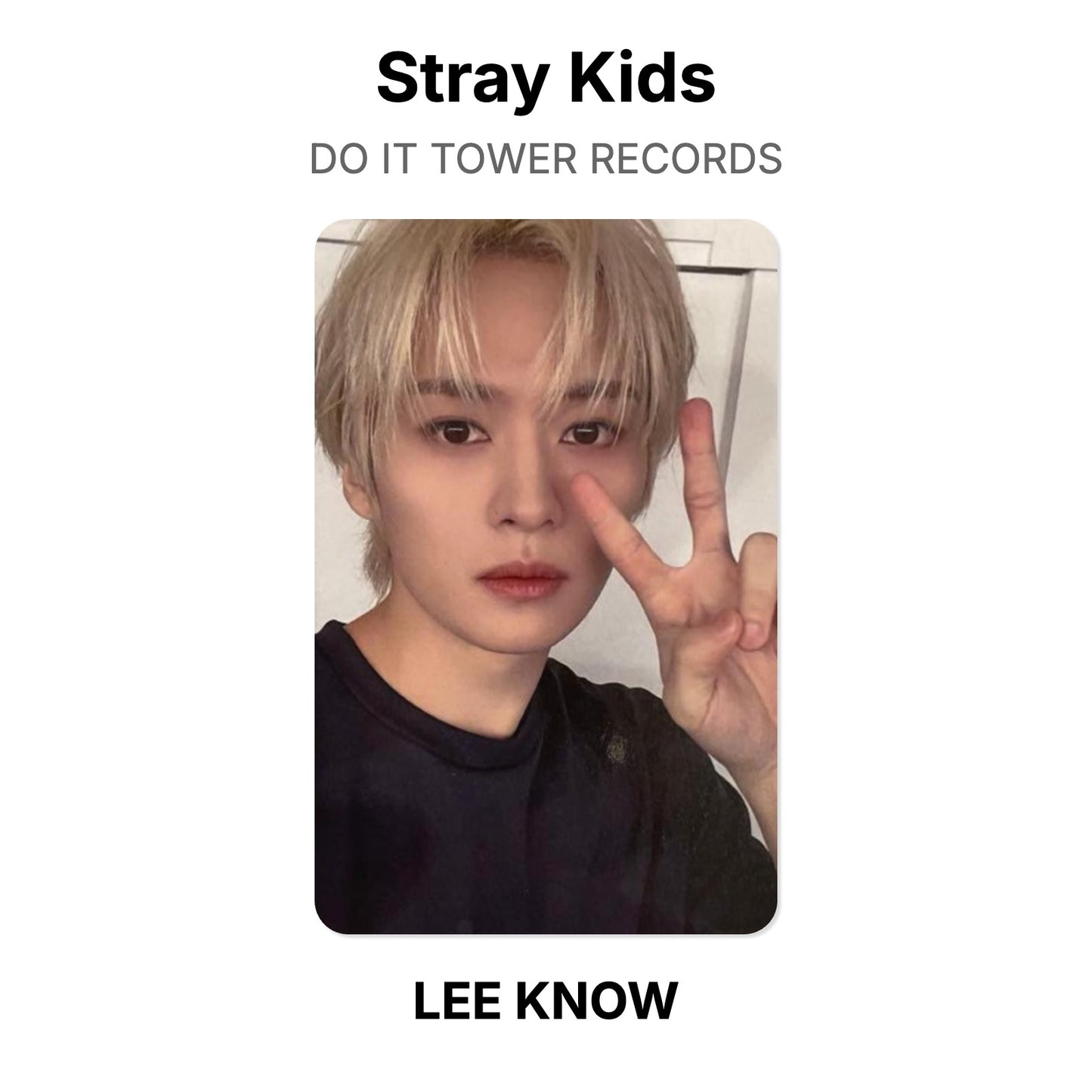 Stray Kids DO IT TOWER RECORDS Official Photocard