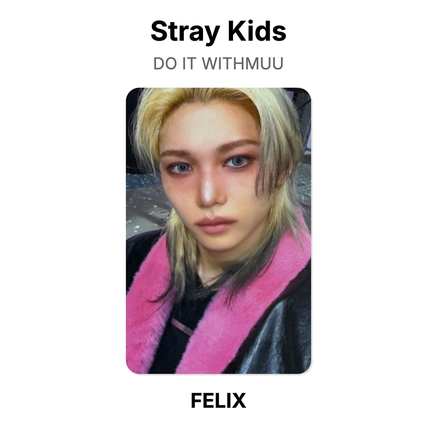 Stray Kids DO IT WITHMUU Official Photocard
